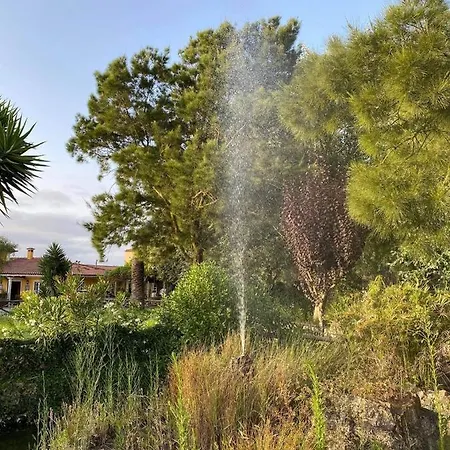 Charm Azenha Dóbidos Farm