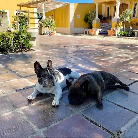 Agroturismo Charm Azenha Dóbidos Farm *