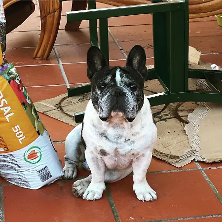 Charm Azenha Dóbidos Farm Olho Marinho