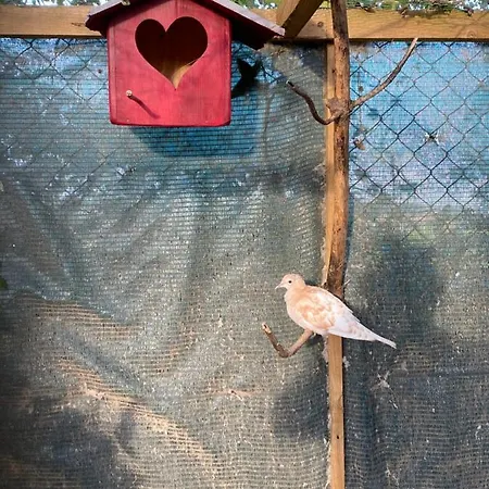 Charm Azenha Dobidos Farm בית חווה Olho Marinho