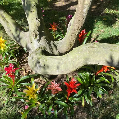 Charm Azenha Dobidos Farm