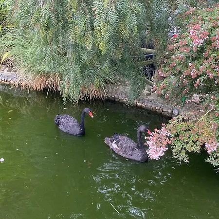 Charm Azenha Dóbidos Farm * Olho Marinho