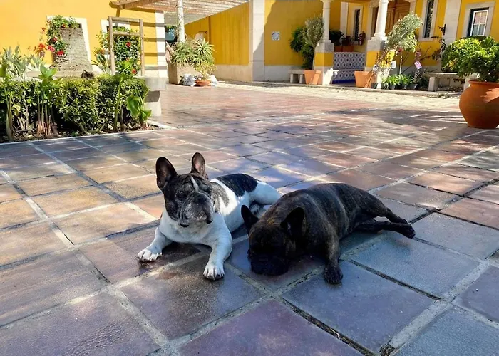 ファームステイ Charm Azenha Dobidos Farm *