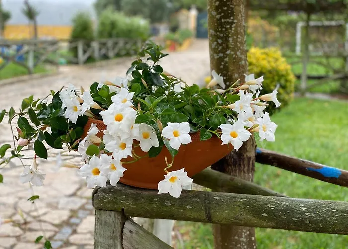 Charm Azenha Dobidos Farm