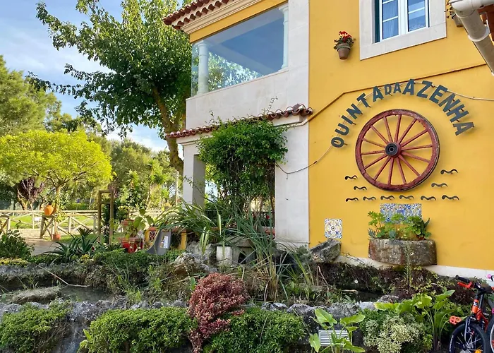 Charm Azenha Dobidos Farm Olho Marinho