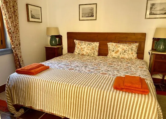 Charm Azenha Dobidos Farm 팜스테이 Olho Marinho