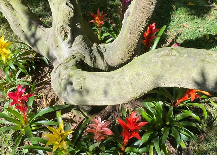 Charm Azenha Dobidos Farm